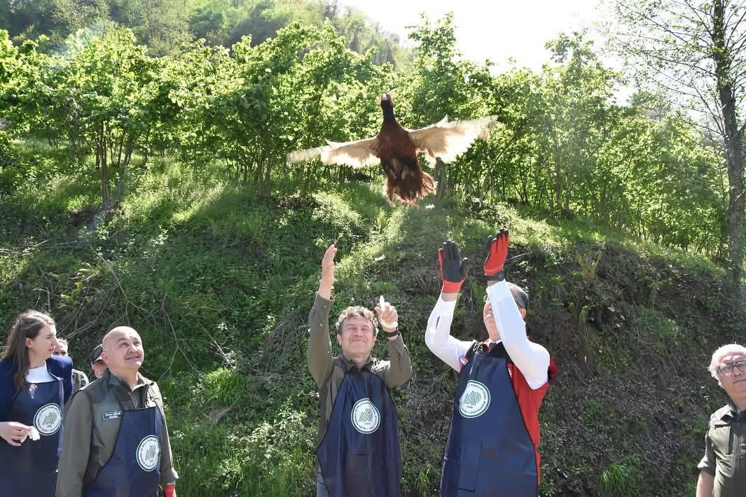 ordu il tarim mudurlugu 1.jpg2 1