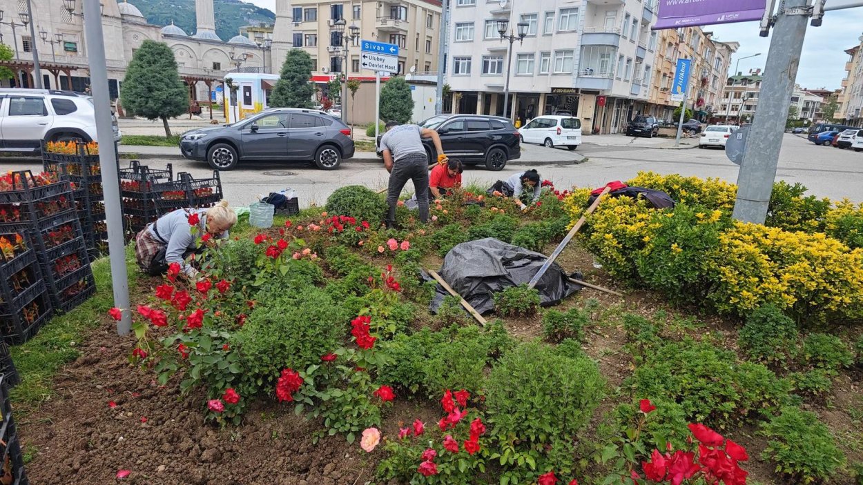 ordu nun dort bir yani cicek bahcesi oldu 1752
