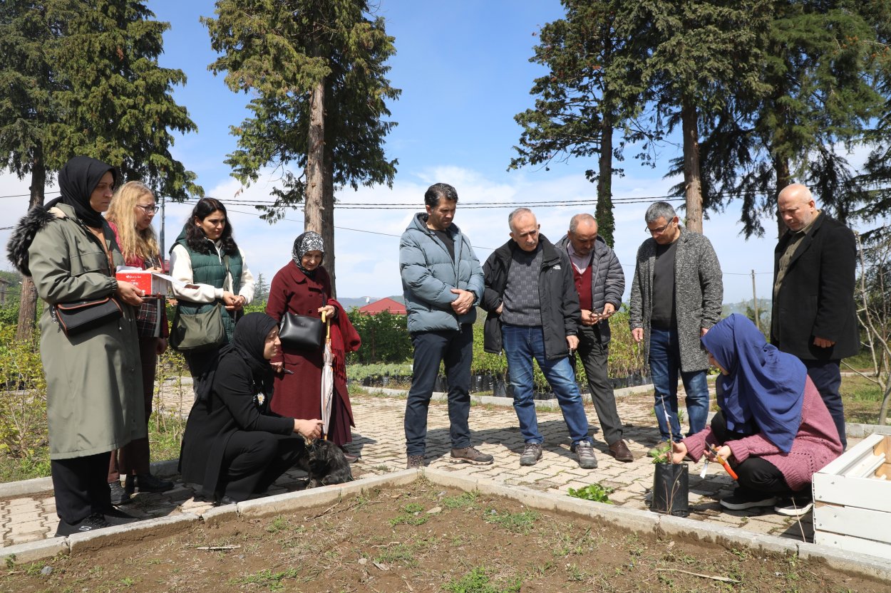 ordu nun meyve agaclari profesyonel ellerde asilanacak 1208