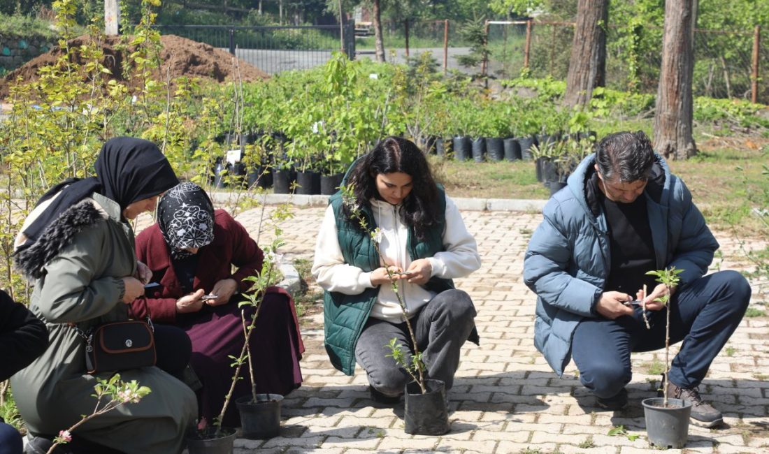 ‘AŞI ORDUSU’ SAHAYA İNDİ