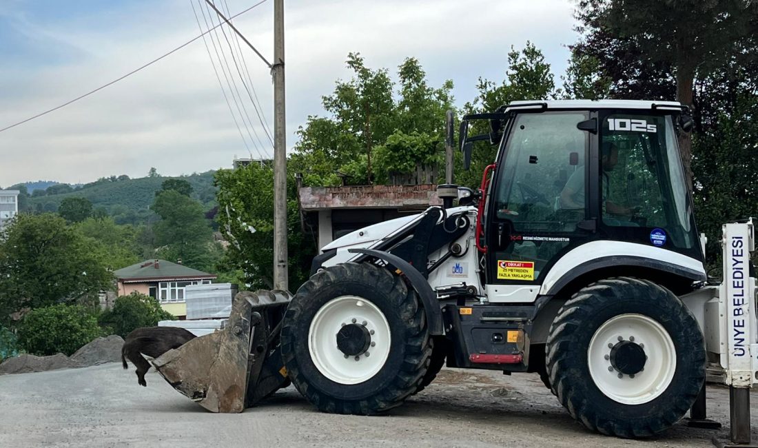 Ünye’de bulunan Sahil Evler Sitesi sakinleri, sabah saatlerinde ilginç bir
