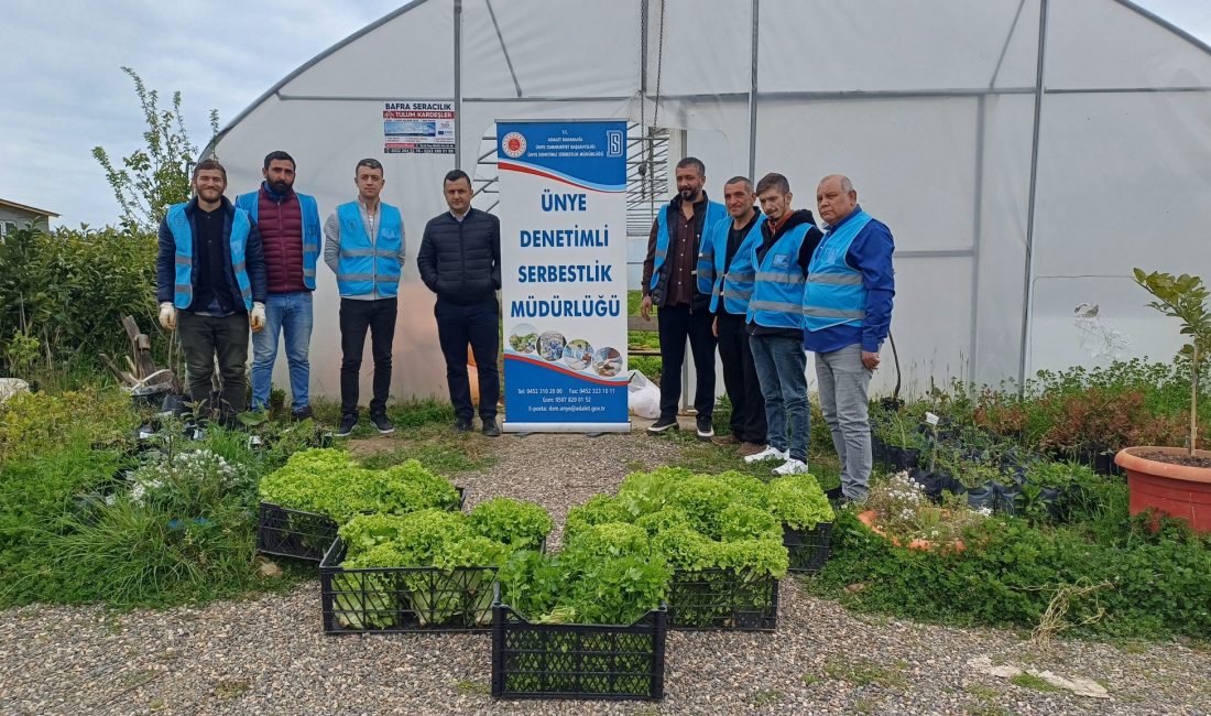 "Toprağa Dokunan Eller Kazanıyor" Projesiyle Hasat Zamanı