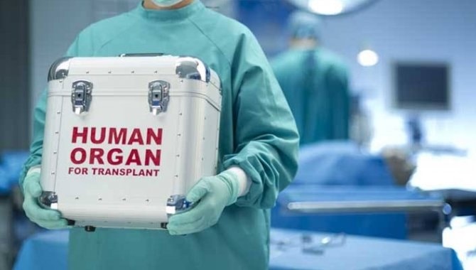 Beyin Ölümünden Hayat Doğdu ORGAN BAGISI ORDU