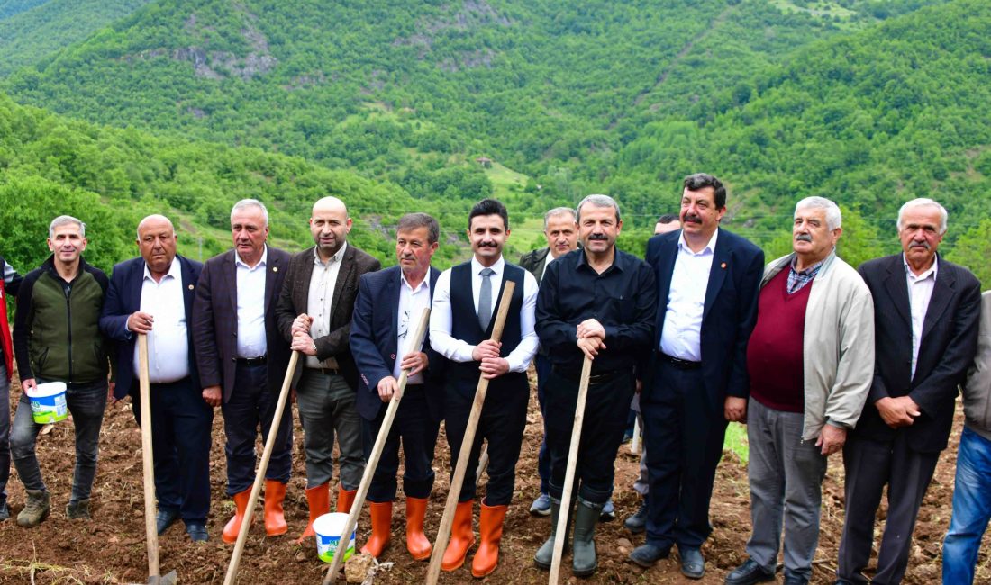 Türk Patent Enstitüsü tarafından 'coğrafi işaret' olarak tescillenen Akkuş şeker