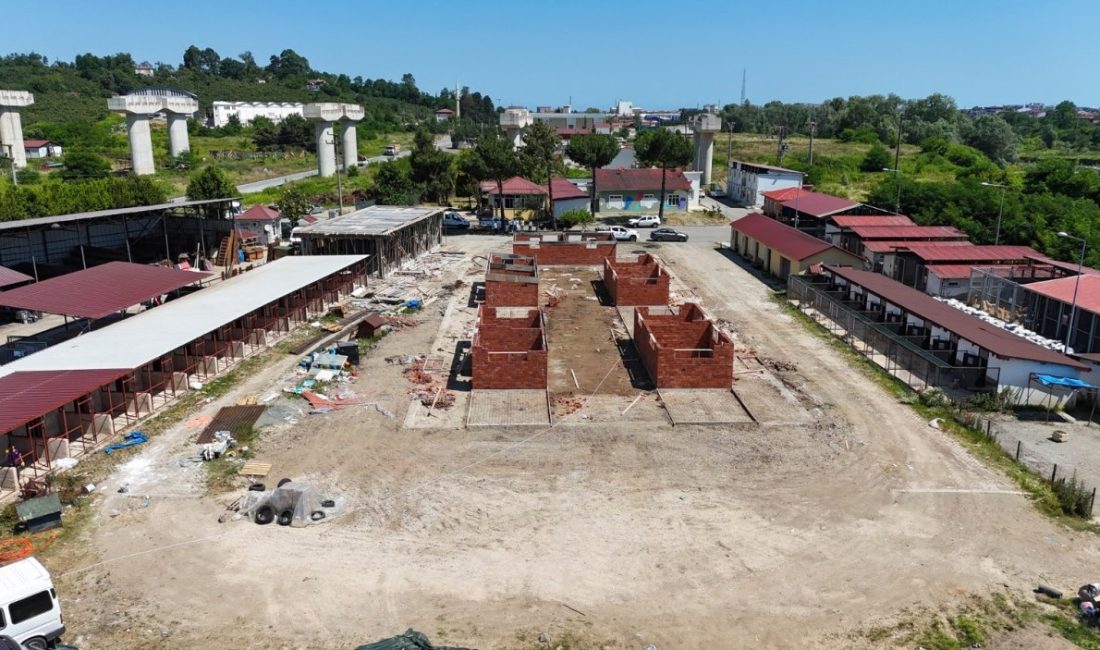 Orta ve Doğu Karadeniz’in en kapsamlı Sahipsiz Sokak Hayvanları Barınağı