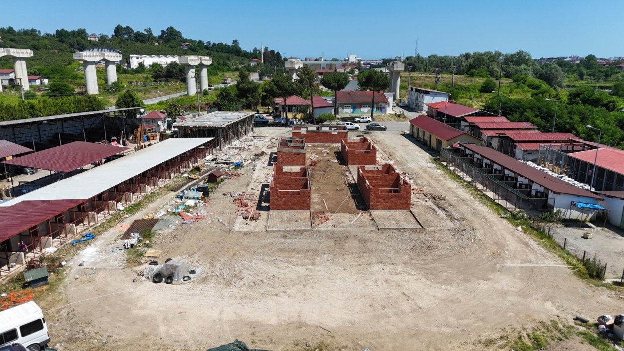 buyuksehirden sokak hayvanlarina modern yasam alani 9502