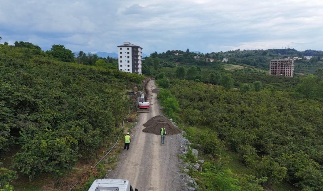 Ordu Büyükşehir Belediye Başkanı Dr. Mehmet Hilmi Güler’in özel önem