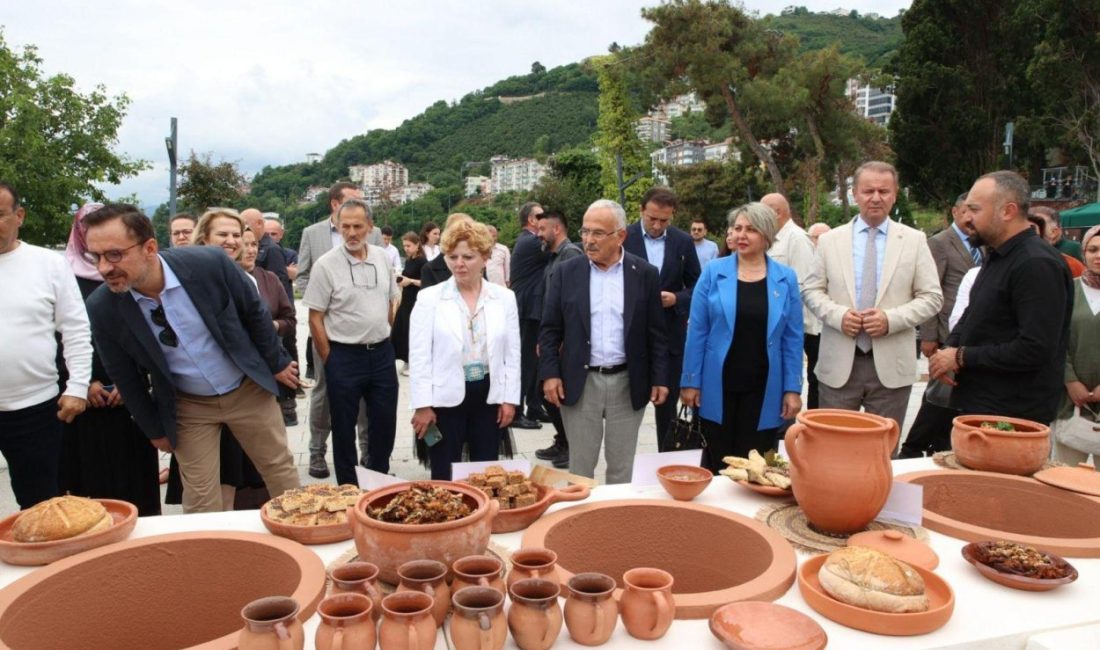 Kurul Kalesi ve Cıngırt Kalesi gibi arkeolojik kazıların yapıldığı Ordu’da