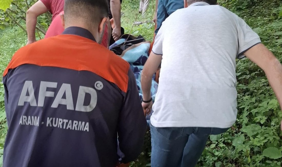 Ordu’nun Gülyalı ilçesine bağlı Mustafalı Mahallesi Çakırılı mevkisinde üzücü bir