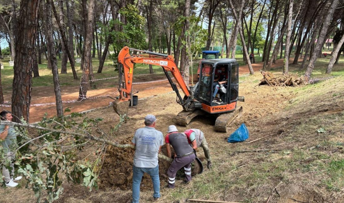 Ordu Büyükşehir Belediyesi ekipleri Ünye Çamlık’ta ömrünü tamamlayan kurumuş ağaçların