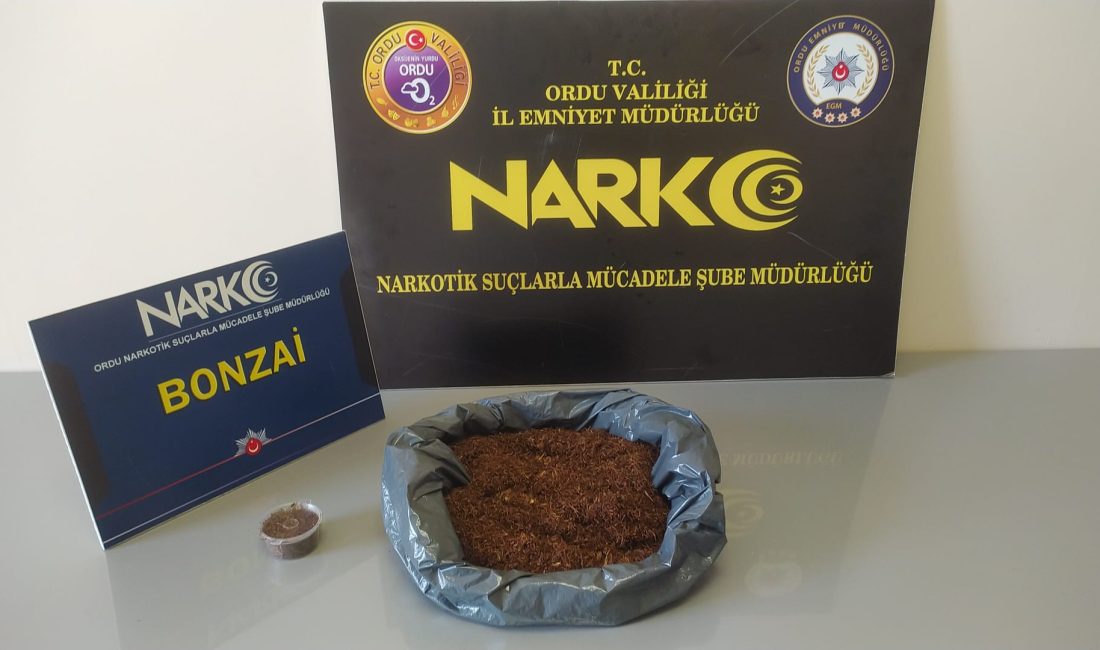 Ordu’da Narkotik Operasyonları: Çok Sayıda Uyuşturucu Madde Ele Geçirildi Ordu