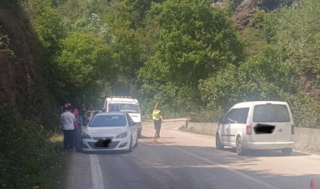 Ordu’nun Çatalpınar ilçesi Fatsa Karayolu Sayacatürk Mahallesi girişinde, yola dökülen