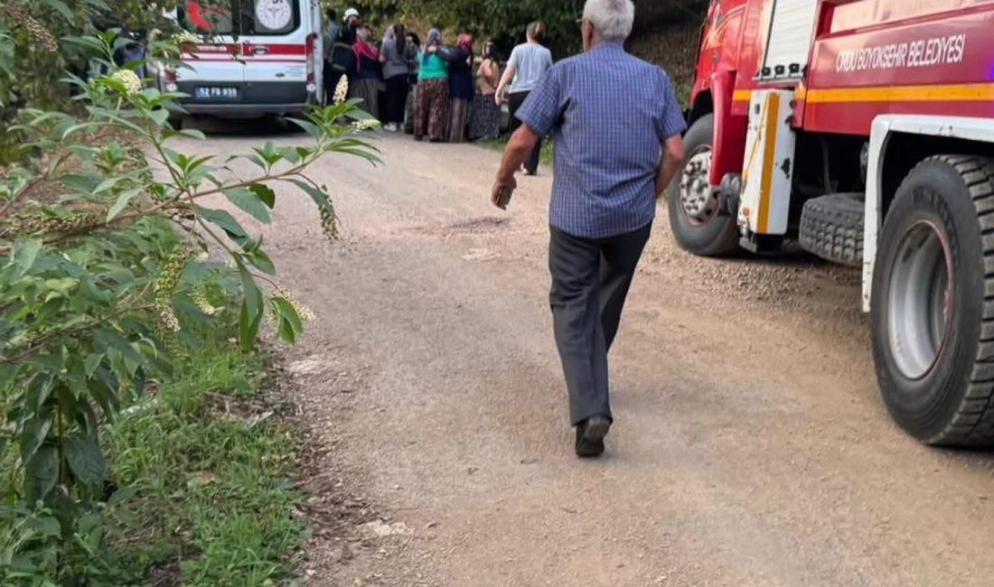 Ordu’nun Çatalpınar ilçesi Elmaköy Mahallesi’nde meydana gelen kazada, “pat pat”