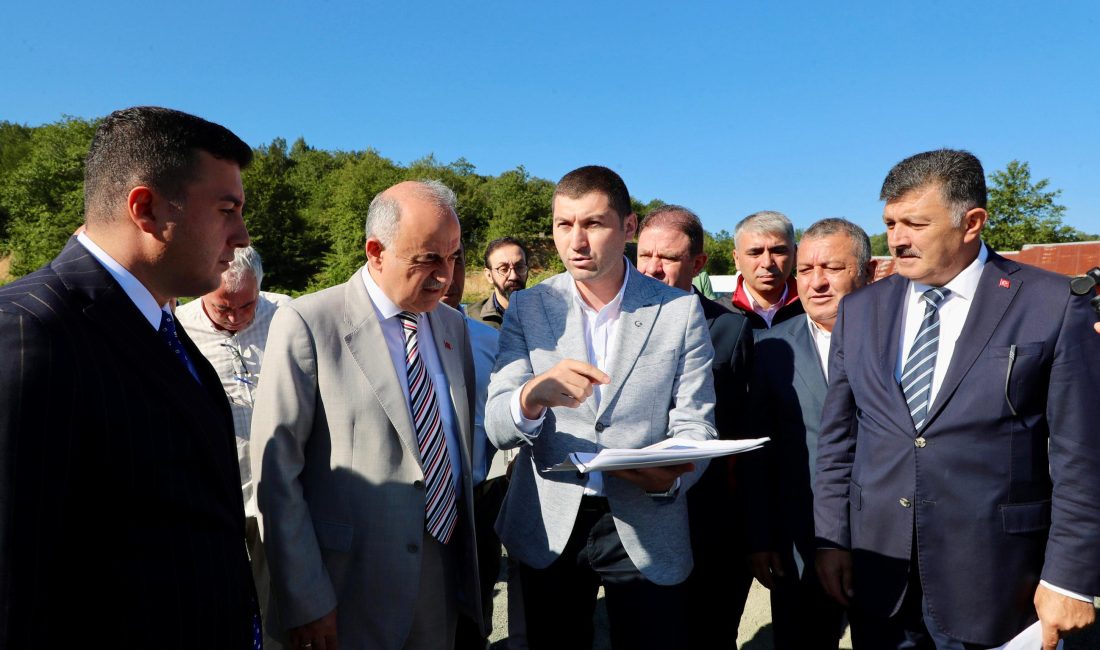 Ordu’da Sahipsiz Sokak Hayvanları İçin Yapılacak Barınak, Doğal Yaşam Alanı