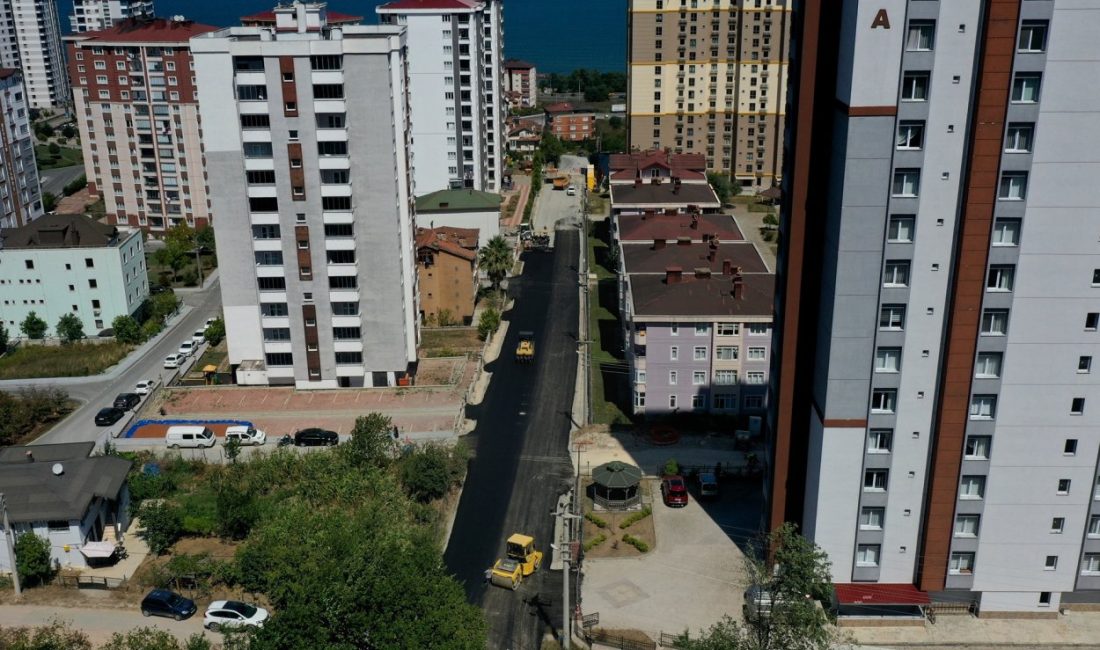 Türkiye’nin kırsal yol ağı uzun ili olan Ordu’da 19 ilçede