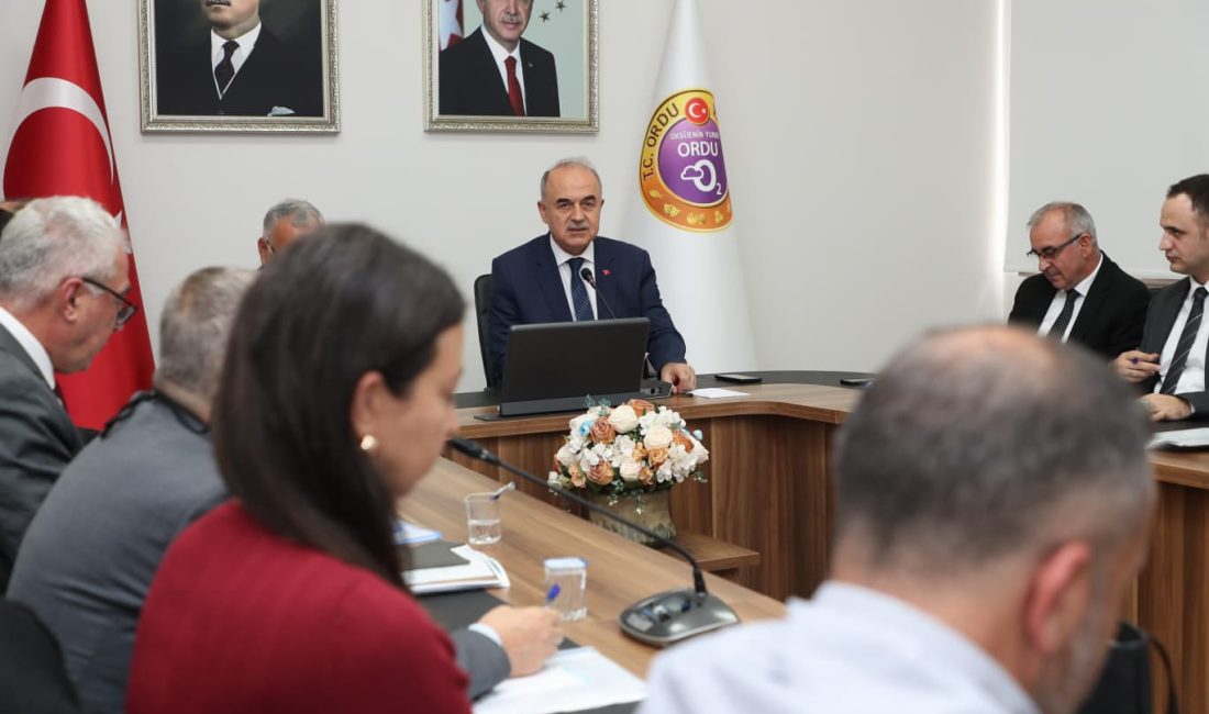 Nüfusu 25 bini aşan ilçelerde sahipsiz sokak hayvanları için barınak