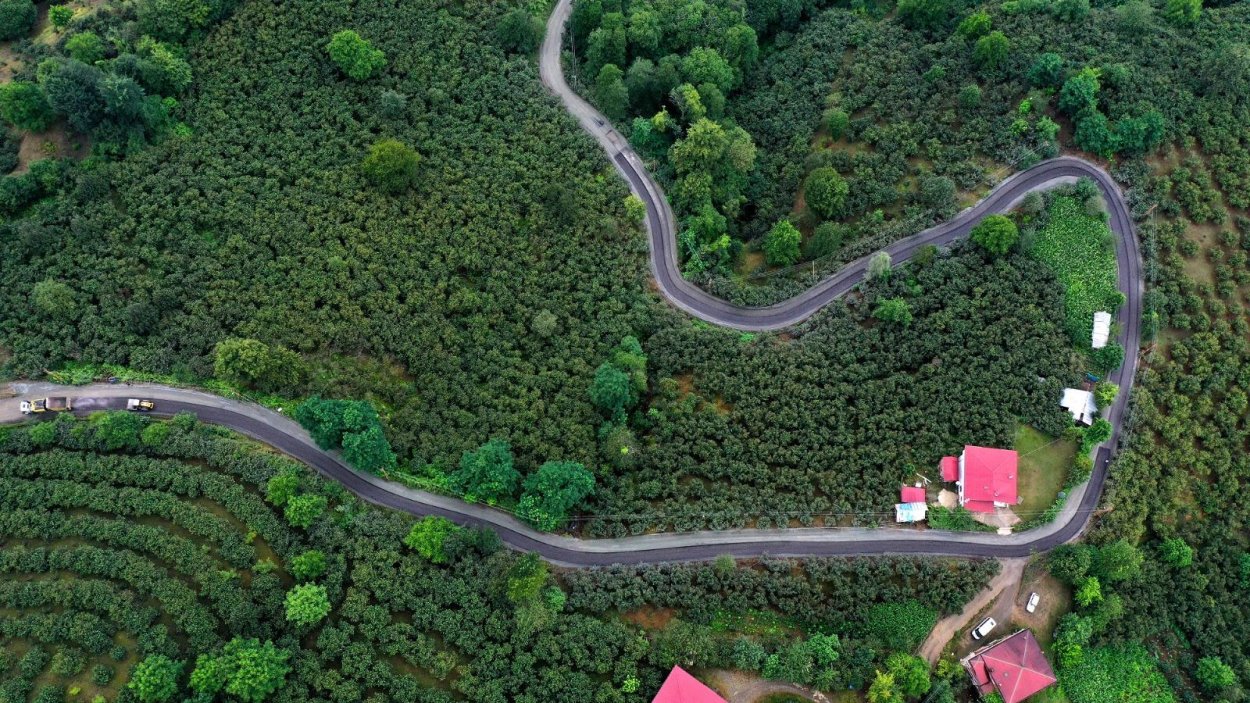 Ordu, Başkan Güler İle Tarih Yazdı IMG 4207