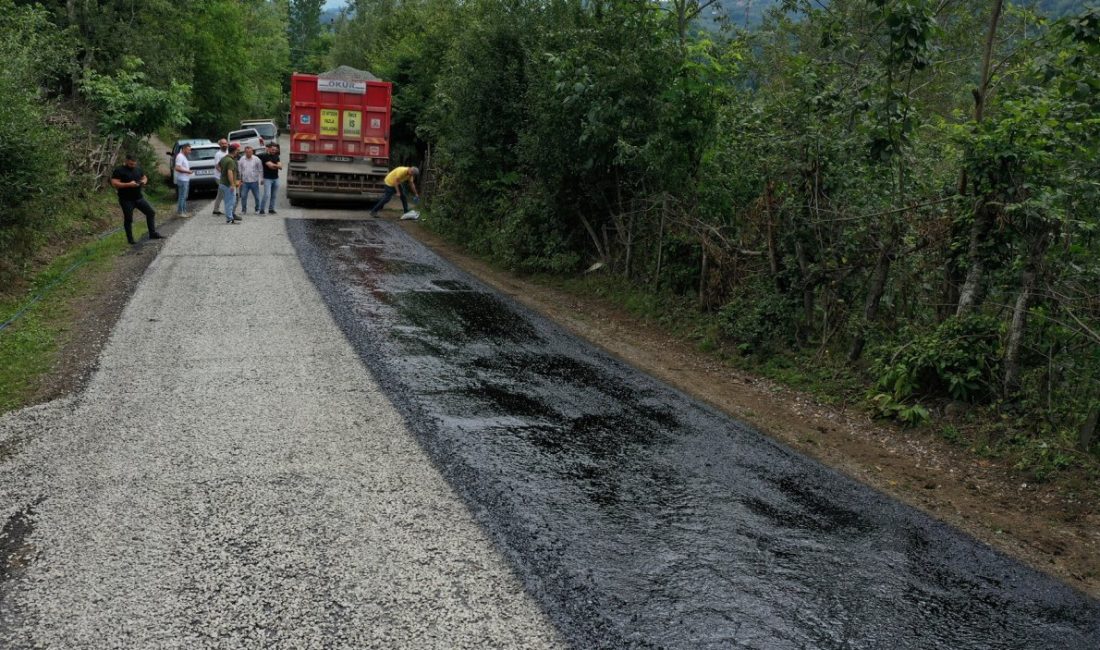 Ordu Büyükşehir Belediyesi 19 ilçede başlattığı ulaşım hamlesiyle ilçelerin yol