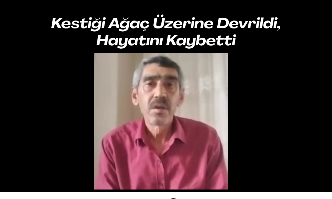 Ordu’nun Gölköy ilçesine bağlı Çetilli köyünde ağaç kesimi yapan 61
