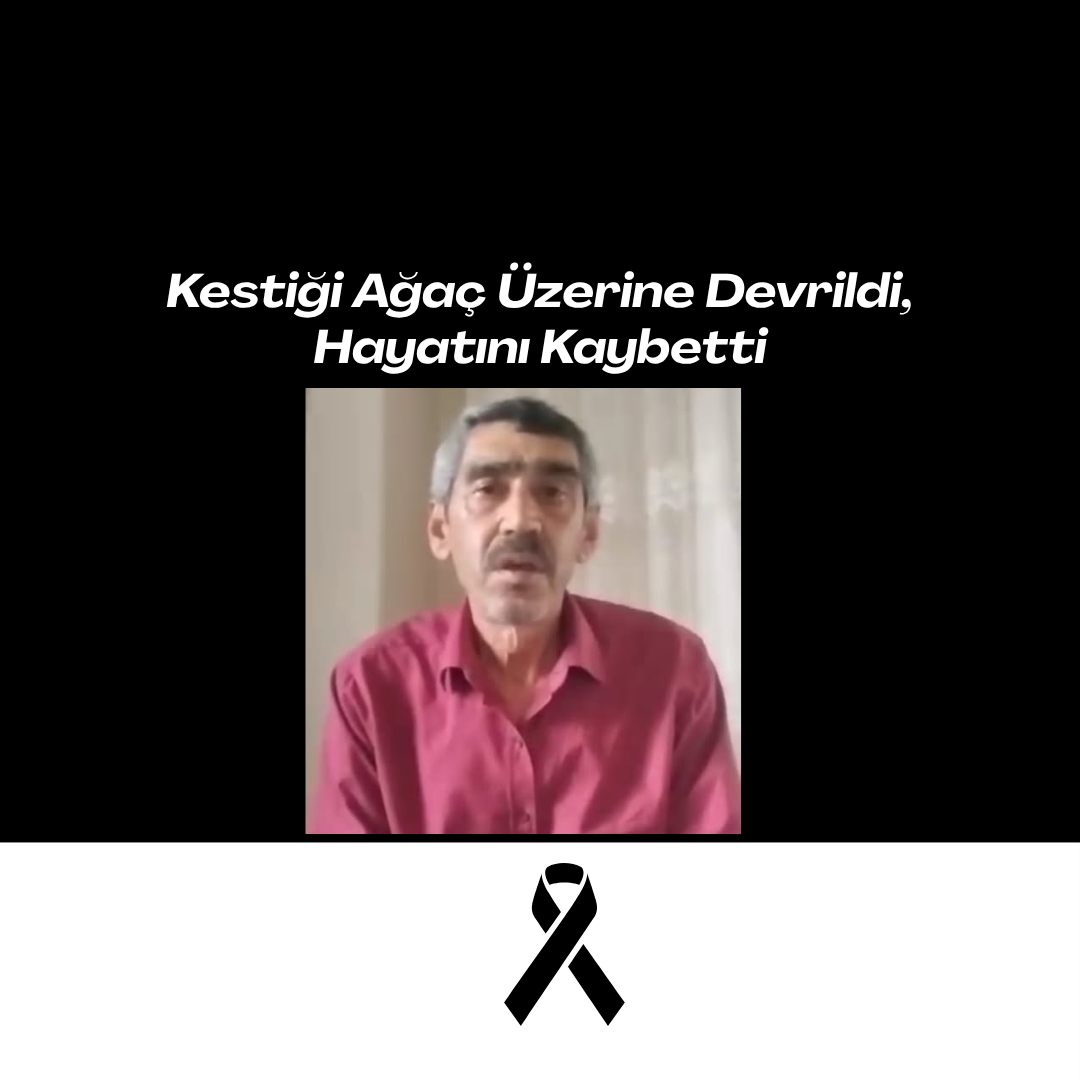 Kestiği Ağaç Üzerine Devrildi, Hayatını Kaybetti Siyah Kurumsal Olum Yil Donumu Instagram Gonderisi 3