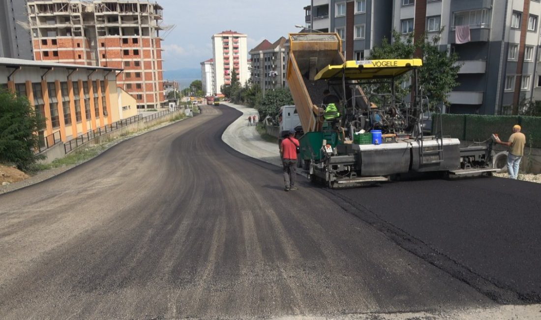 Ordu Büyükşehir Belediyesi, Fatsa ilçesi Dolunay Mahallesi’nde bulunan Seyitoğlu ve