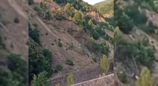 Şanlıurfa’dan Ordu’ya fındık toplamak üzere yola çıkan tarım işçilerini taşıyan