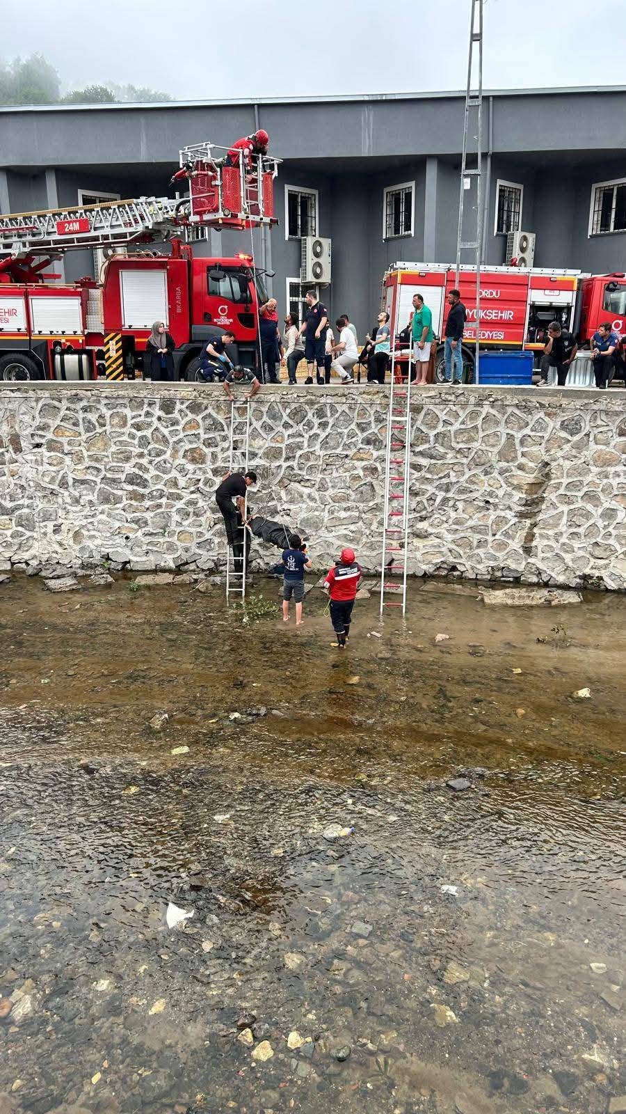 golkoy dere cocuk dustu