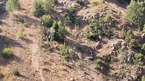 Fındık İşçilerini Taşıyan Minibüs Uçuruma Yuvarlandı: 3 Ölü, 18 Yaralı is
