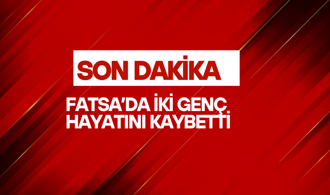 Ordu’nun Fatsa ilçesinde yaşanan olayda iki genç yaşamını yitirdi. Edinilen