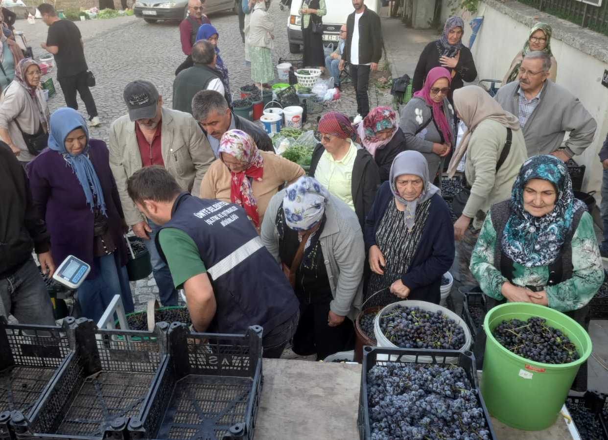 Ünye Belediyesi Üzüm Üretimini Destekliyor WhatsApp Image 2025 09 24 at 13.44.32