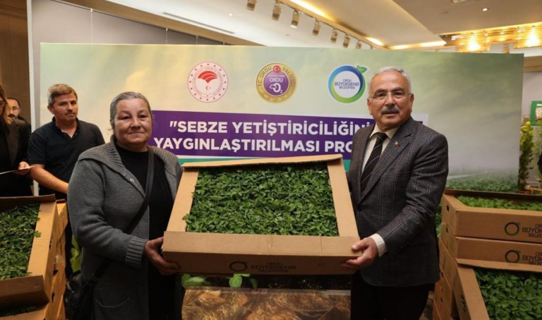 BÜYÜKŞEHİR DAĞITTIĞI FİDELERİ KENDİ KURDUĞU FİDE ÜRETİM TESİSİNDE TOHUMDAN YETİŞTİRİYOR