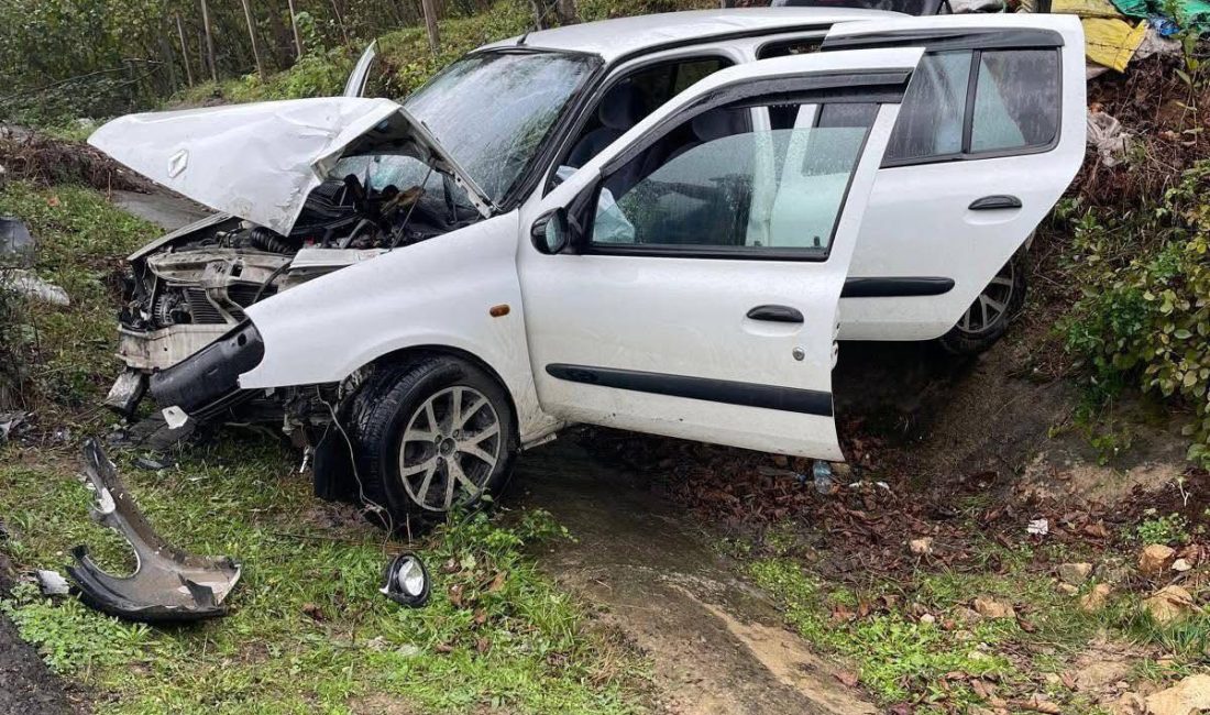 Ordu’nun Çatalpınar–Fatsa yolu Şifa Suyu mevkiinde dün öğle saatlerinde bir