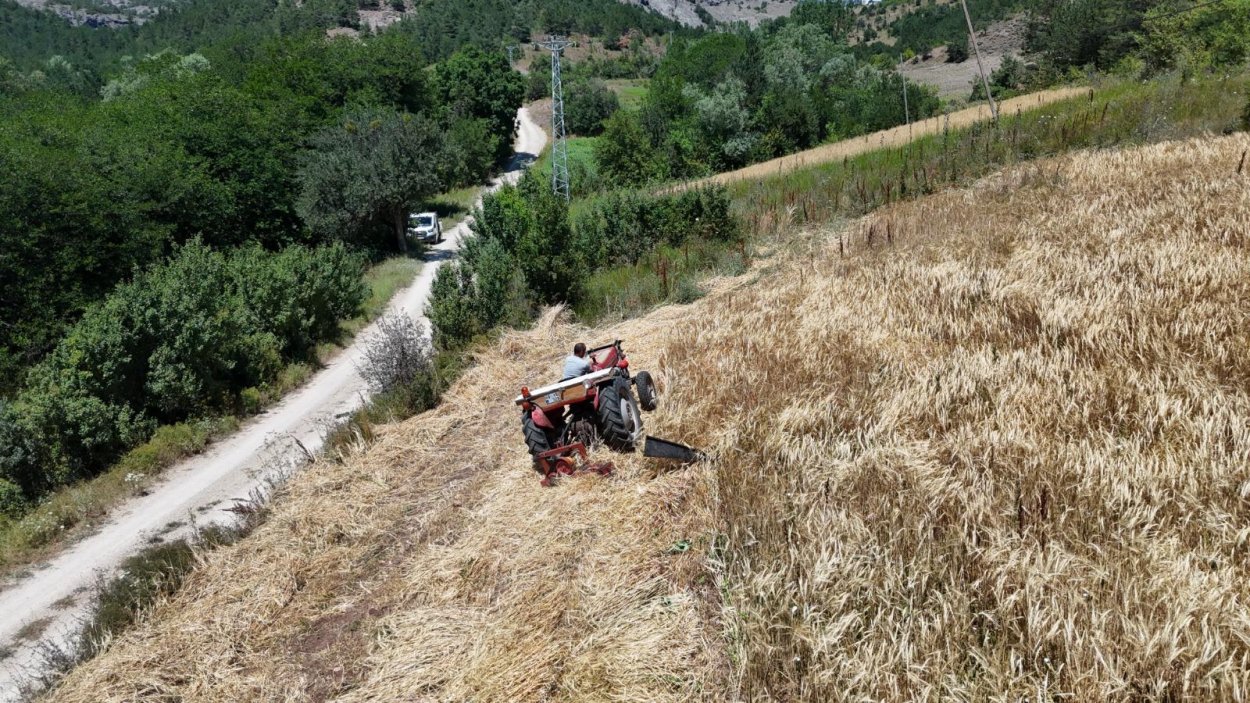 İstanbul’dan Ordu’ya Uzanan Çiftçilik Öyküsü Başarıya Dönüştü istanbul dan ordu ya uzanan ciftcilik oykusu basariya donustu 7599