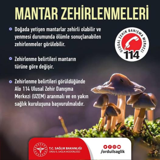 Mantar Zehirlenmesine Dikkat mantar zehirlenmesi