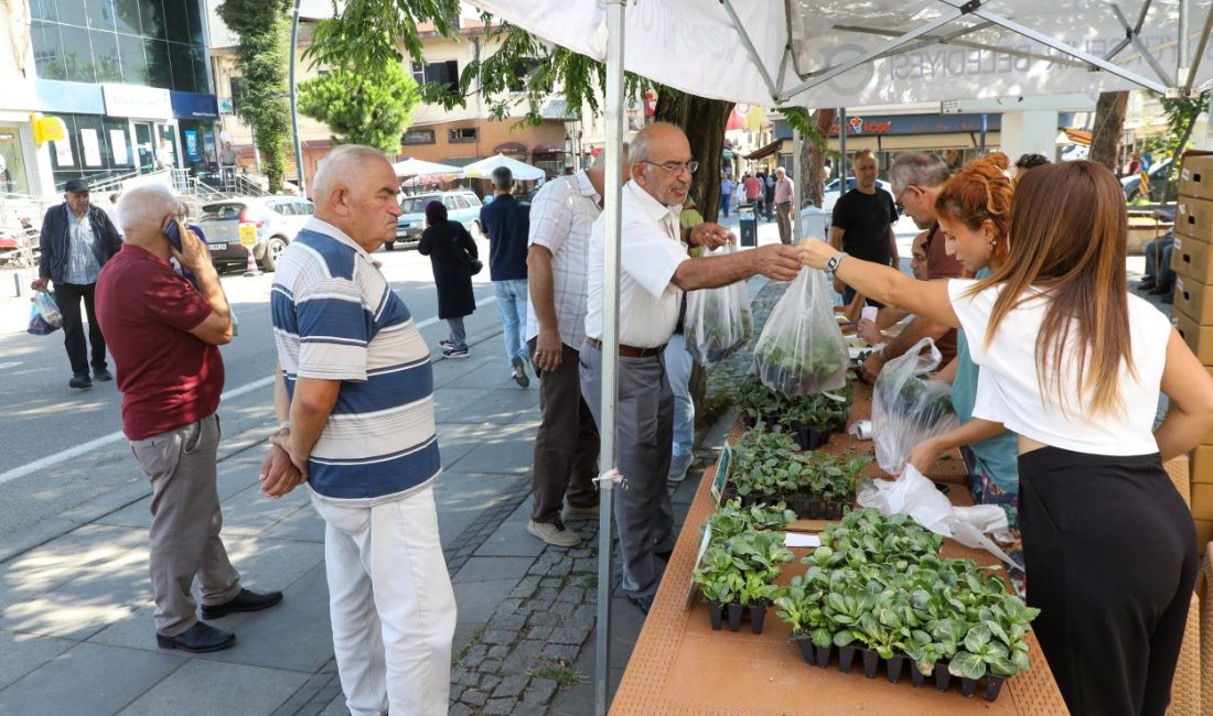 ORDU’NUN ÜRETİM DESENİNE YENİ ÜRÜRÜNLER GİRİYOR   BÜYÜKŞEHRİN KENDİ SERALARINDA