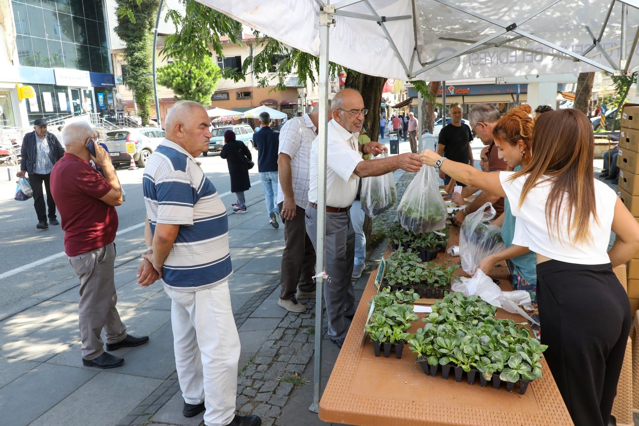 Üreticiler Kış Sebzelerini Kendi Üretecek ureticiler kis sebzelerini kendi uretecek 7295