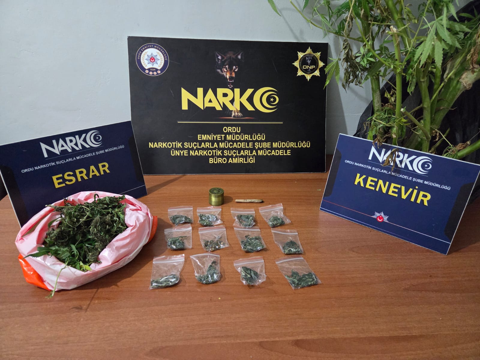 Ordu’da Çok Sayıda Uyuşturucu Ele Geçirildi, 2 Tutuklama NARKO