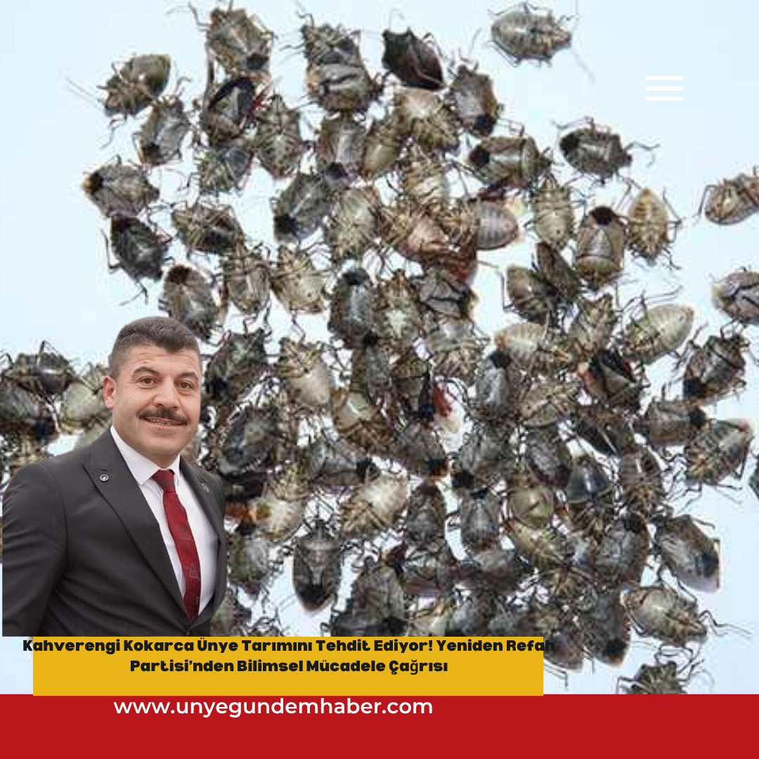 Kahverengi Kokarca Ünye Tarımını Tehdit Ediyor! Yeniden Refah Partisi’nden Bilimsel Mücadele Çağrısı Red Simple Breaking News Instagram Post 1