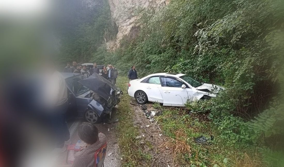 Fatsa–Aybastı karayolu Kulak Mahallesi mevkiinde iki otomobilin karıştığı bir trafik