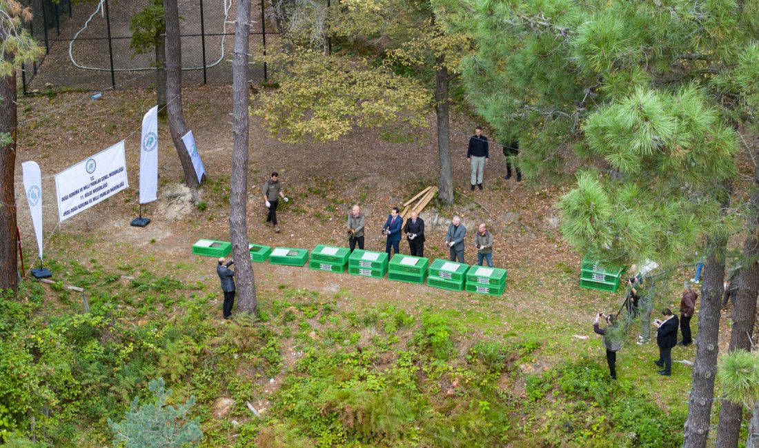 Başkan Tavlı “Doğayı Korumak, Geleceğimizi Korumaktır”