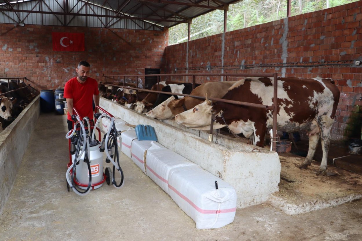 Sütün Değeri Artıyor, Üreticinin Yüzü Gülüyor sutun degeri artiyor ureticinin yuzu guluyor 3159