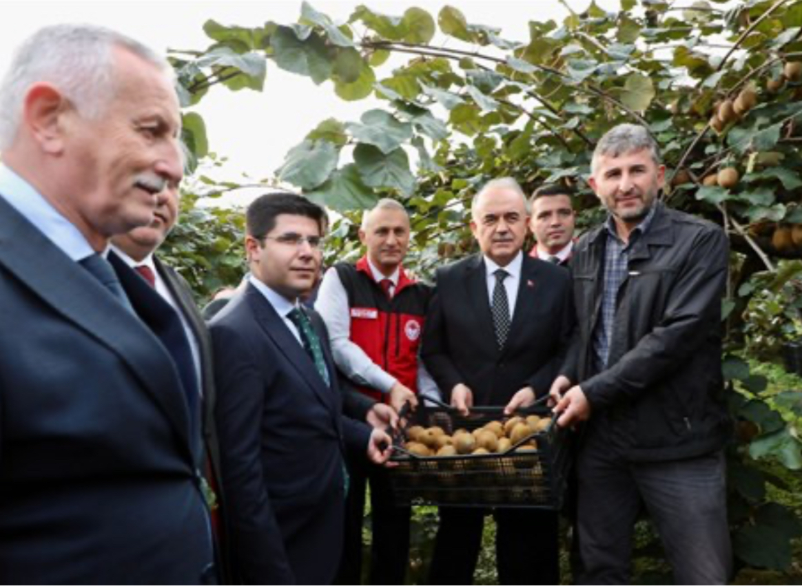 Vali Erol, Kivi Hasadına Katıldı IMG 9088