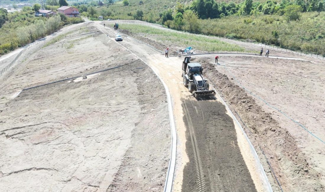 Ordu Büyükşehir Belediyesi, Fatsa ve Ünye ilçelerinin uzun yıllar mezar