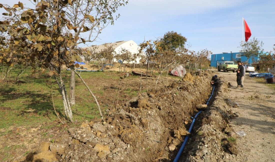 Fınver’de Damlama Sulama Dönemi