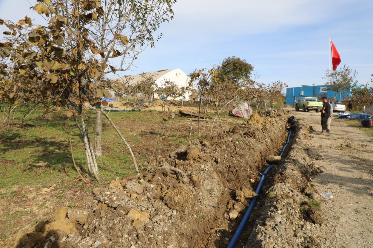 finver de damlama sulama donemi1