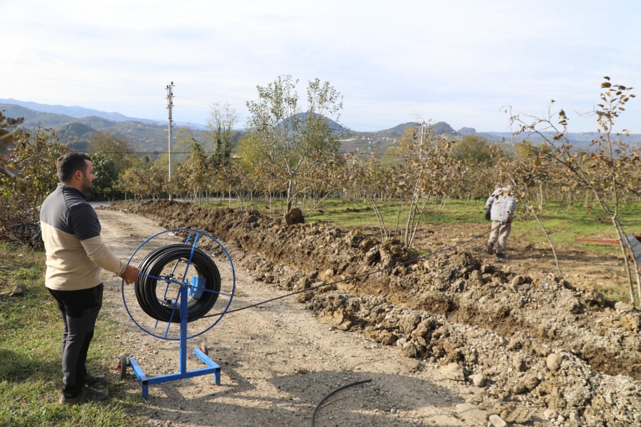 finver de damlama sulama donemi2