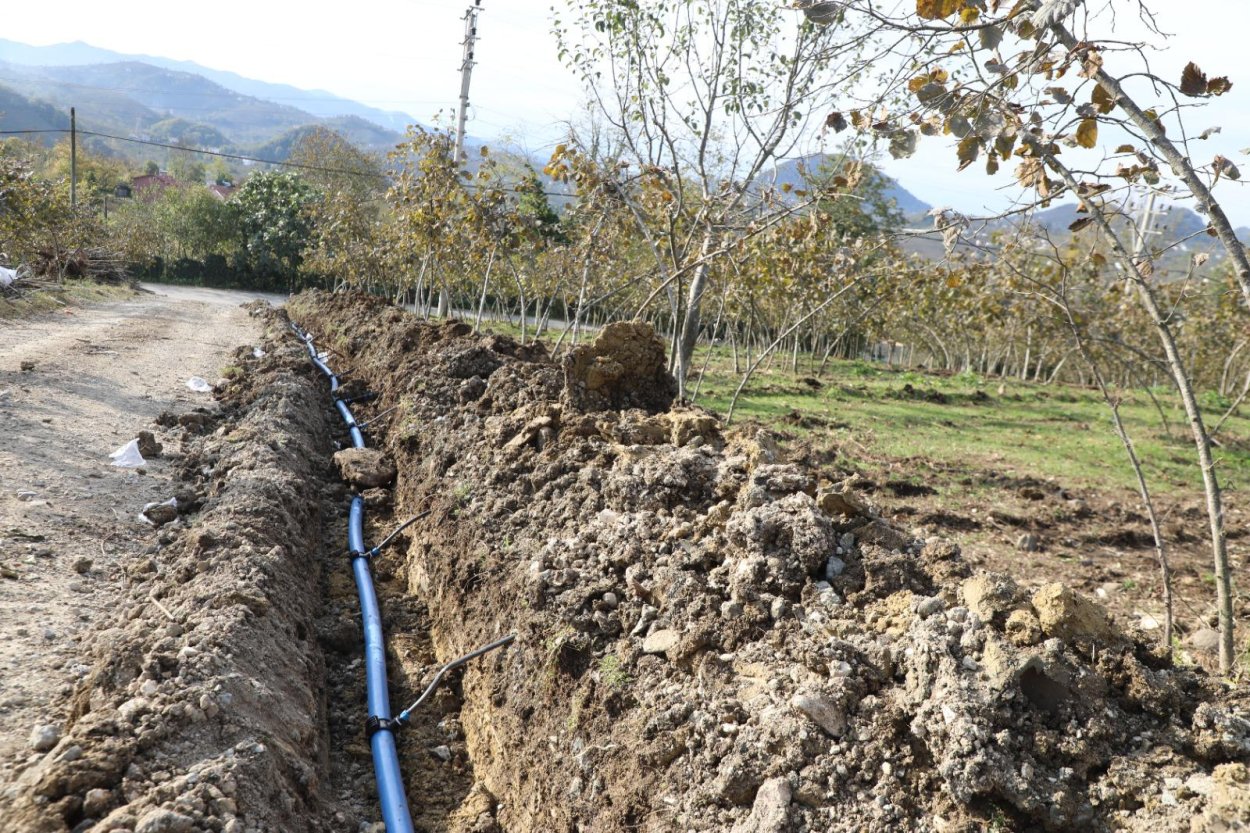 finver de damlama sulama donemi3