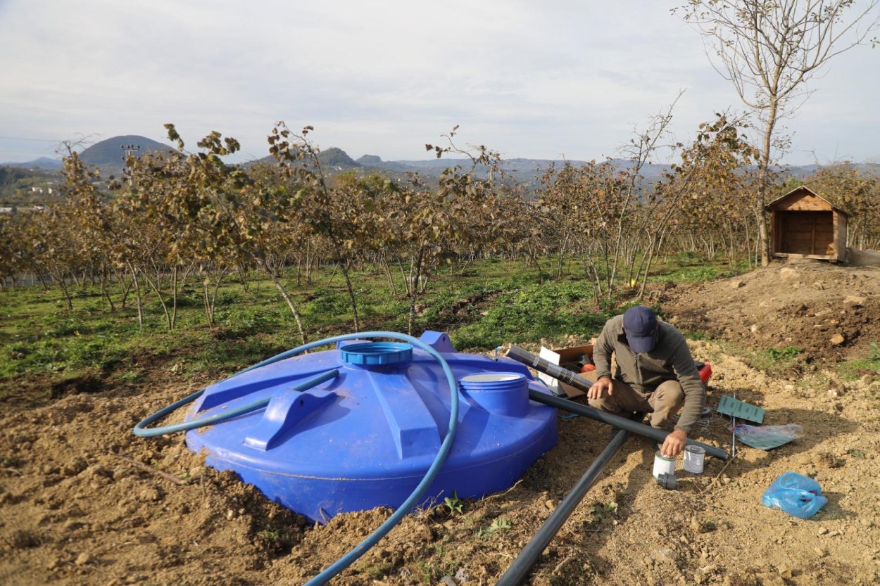 finver de damlama sulama donemi5