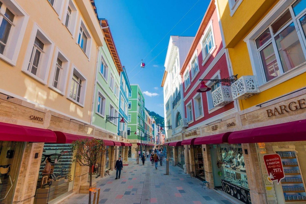 ordu da dis cephe seferberligi 4