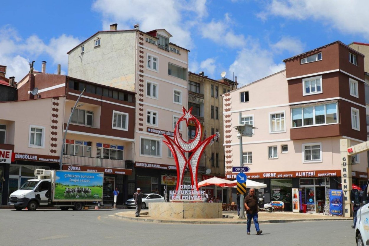 ordu da dis cephe seferberligi 8